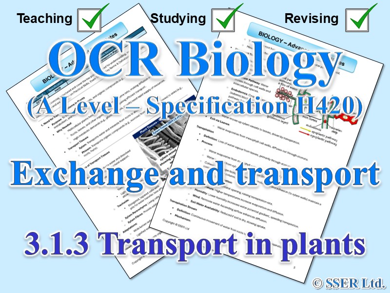 BIOA_OCR Topic Notes: 3.1.3 Transport in plants