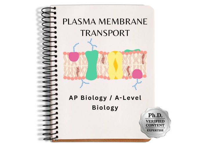 AP Biology/ A-Level Biology: Membrane Transport Visual Slide Deck & Study Guide