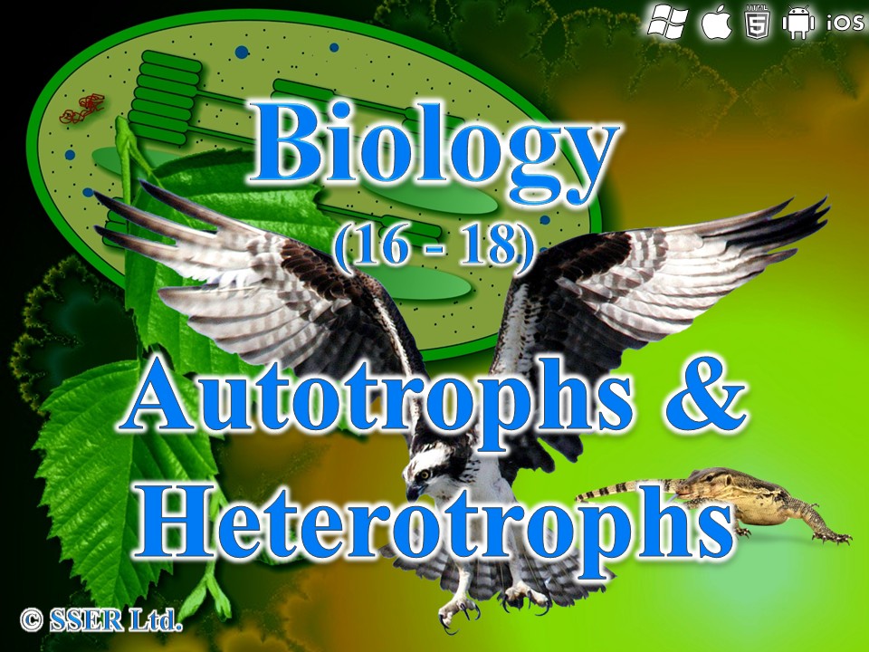 BioA_3.5.1 Autotrophs & Heterotrophs