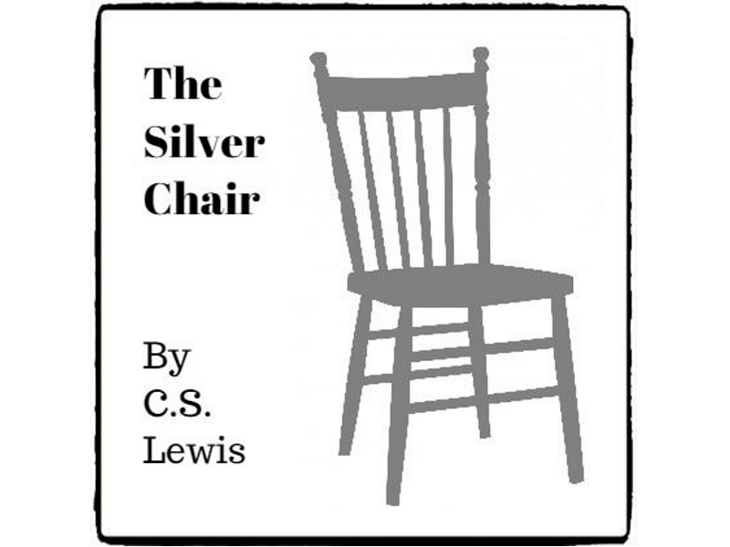 The Silver Chair (Reed Novel Studies) Teaching Resources