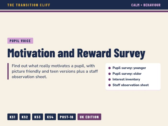 Motivation and Reward Survey with Interest Inventory for SEND Pupils (KS1 to Post-16)