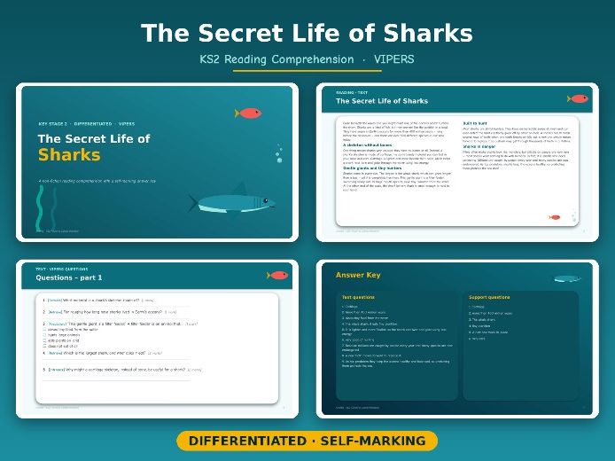 The Secret Life of Sharks — KS2 Reading Comprehension