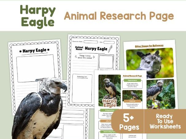 Harpy Eagle Worksheets | Rainforest Bird Habitat and Adaptations