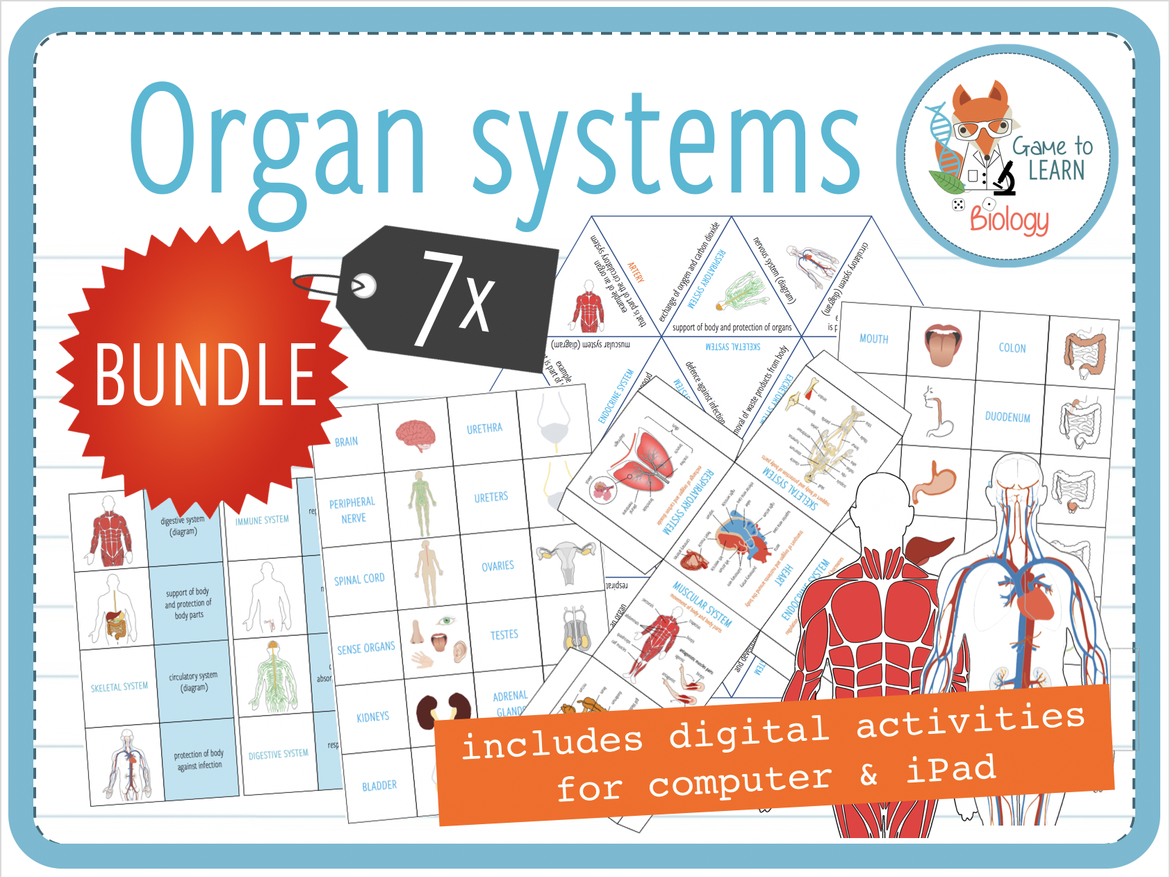 Organ systems 7x Games and Activities (KS3/4) Teaching Resources