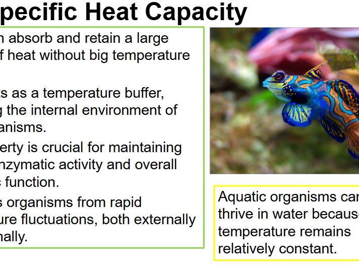 AS Level Biology - Water - AQA