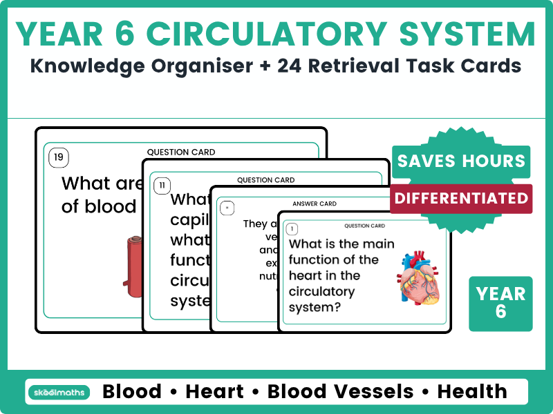 Year 6 Circulatory System Knowledge Organiser & Task Cards
