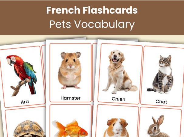 French Pets Flashcards | 24 Printable Animal Vocabulary Cards