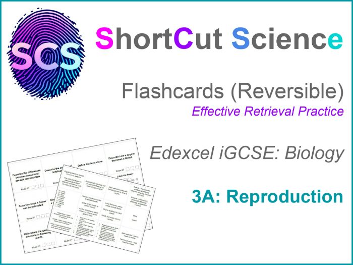 Flashcards Bio IGCSE Edexcel: Reproduction