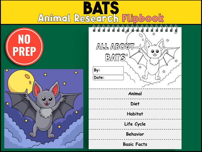 Bat Research Flipbook | Forest Animals, Science Activities , Woodland Animals Printable