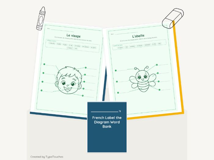 French Label the Diagram Word Bank | 34 pp