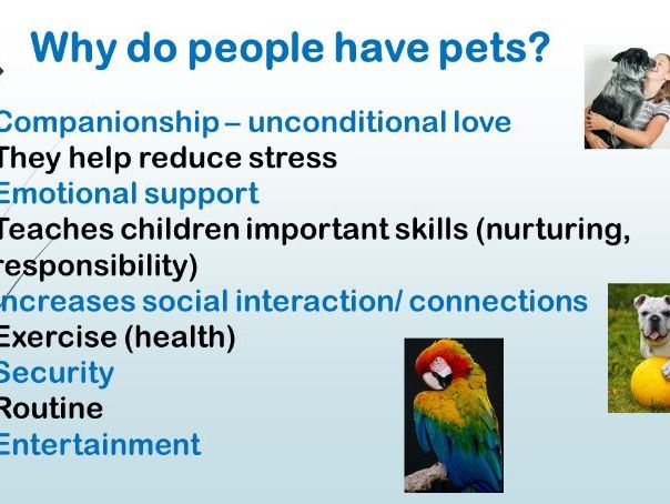 National Pet Day Assembly