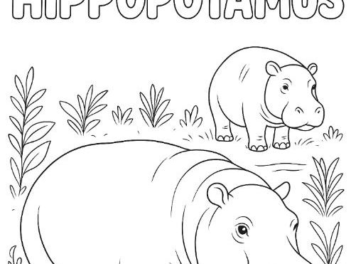 Hippopotamus Animals Colouring Page