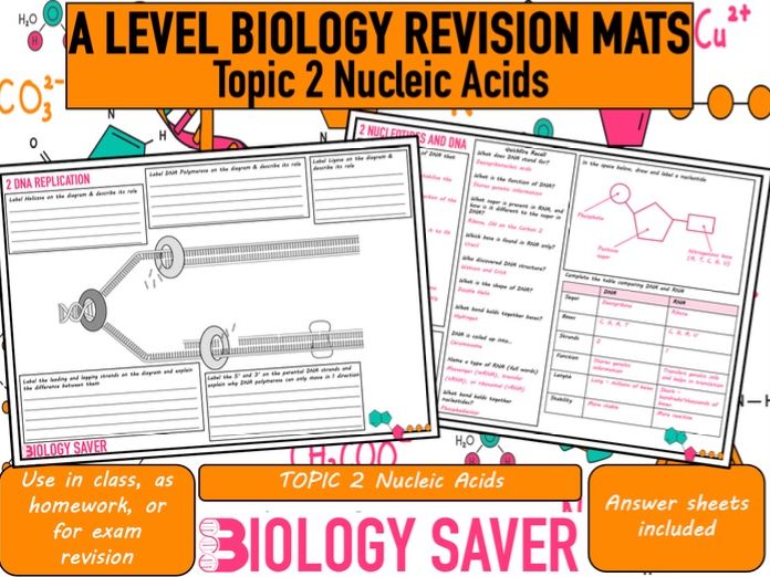 A Level Bio Revision Mats - 2 Nucleic Acids