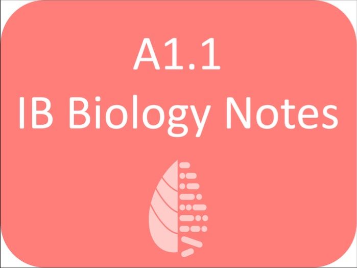 IB Biology A1.1 Water Notes 2025 SL HL