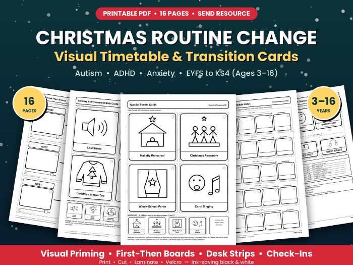 Christmas Visual Routine & Transition Cards