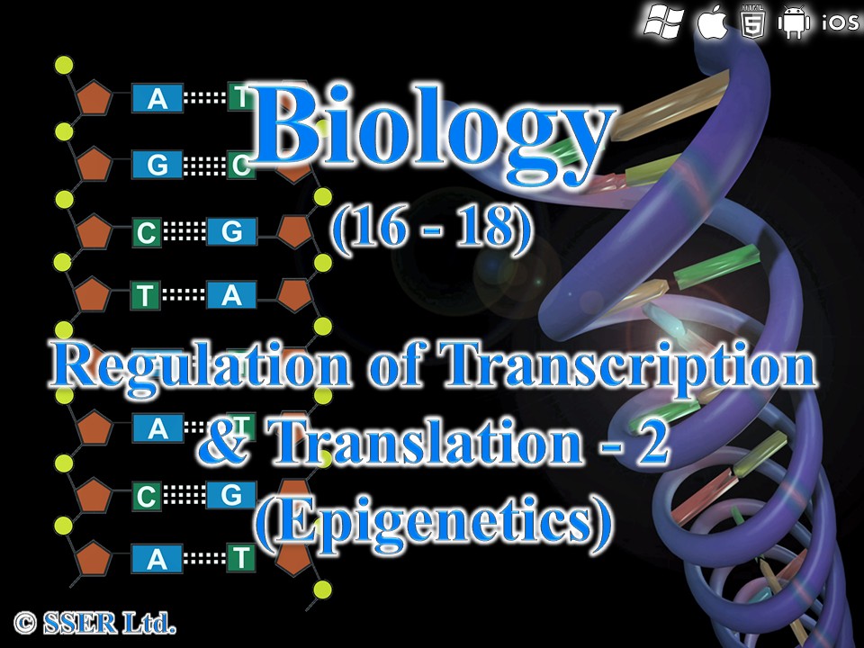 BioA_3.8.2.2 Regulation of Transcription & Translation - 2  (Epigenetics)