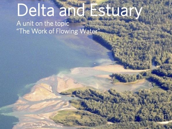 Delta and Estuary