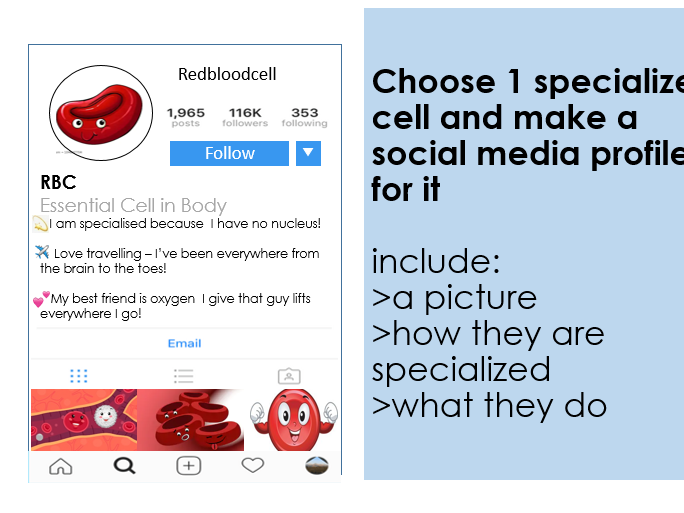 Activate scheme YEAR 7 Organisms - Specialised cells