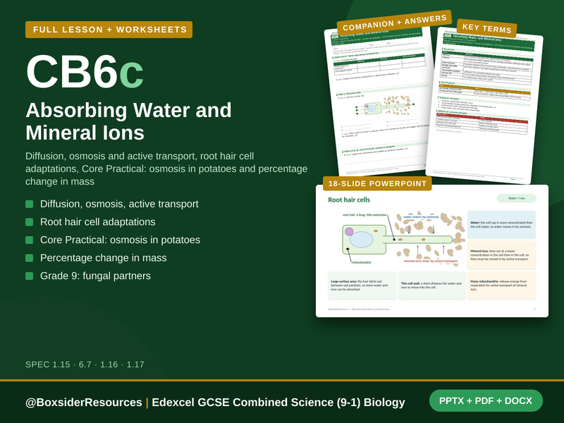 CB6c Absorbing Water and Mineral Ions | Edexcel Combined Science (9-1) | Lesson + Worksheet