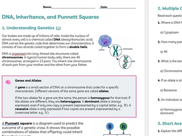 DNA and Inheritance - a reading and comprehension task