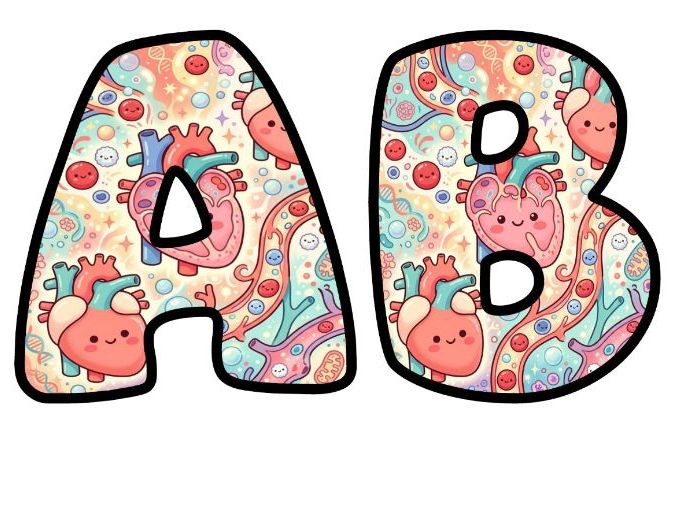 Human Heart Circulation Bubble Letters | Science Topic Bulletin Board Letters