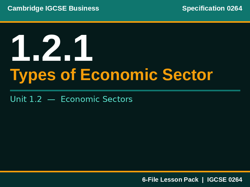 Cambridge IGCSE Business 0264 | 1.2.1 Types of Economic Sector | Lesson Pack