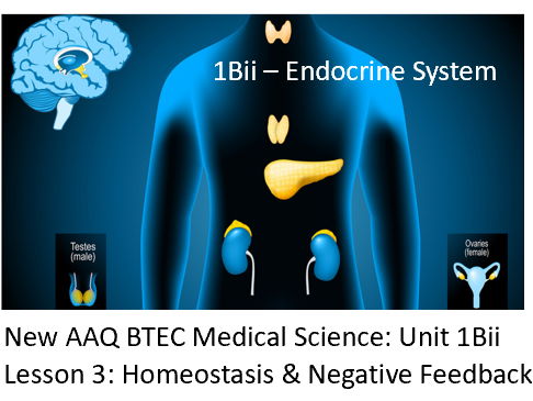 NEW: AAQ BTEC Medical Science Unit 1Bii Endocrine System - Lesson 3 Homeostasis