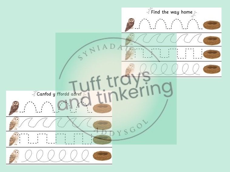 owl babies track the owl cymraeg foundation phase ps1 curriculum for wales fine motor skills