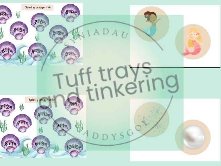 splat y cregyn mor splat the shells maths Curriculum for Wales Early Years PS1 addysg Cymraeg