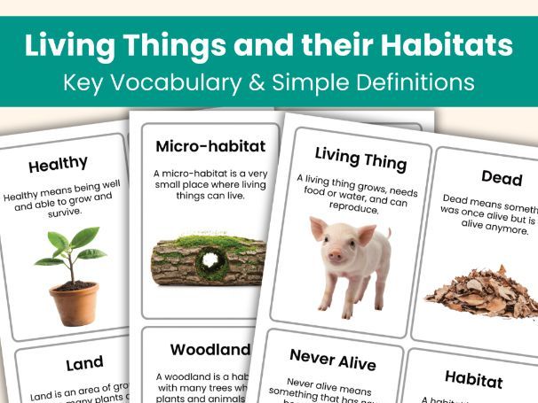 Living Things and Their Habitats Vocabulary Flashcards | Year 2 Science