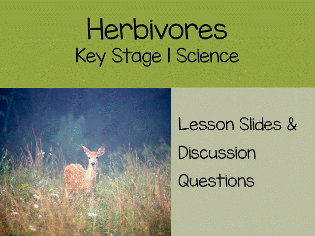 Herbivores KS1 Science,  Animals Including Humans Lesson