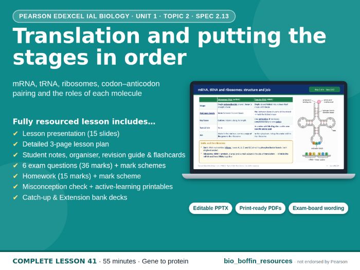 IAL Biology Edexcel – Translation & tRNA