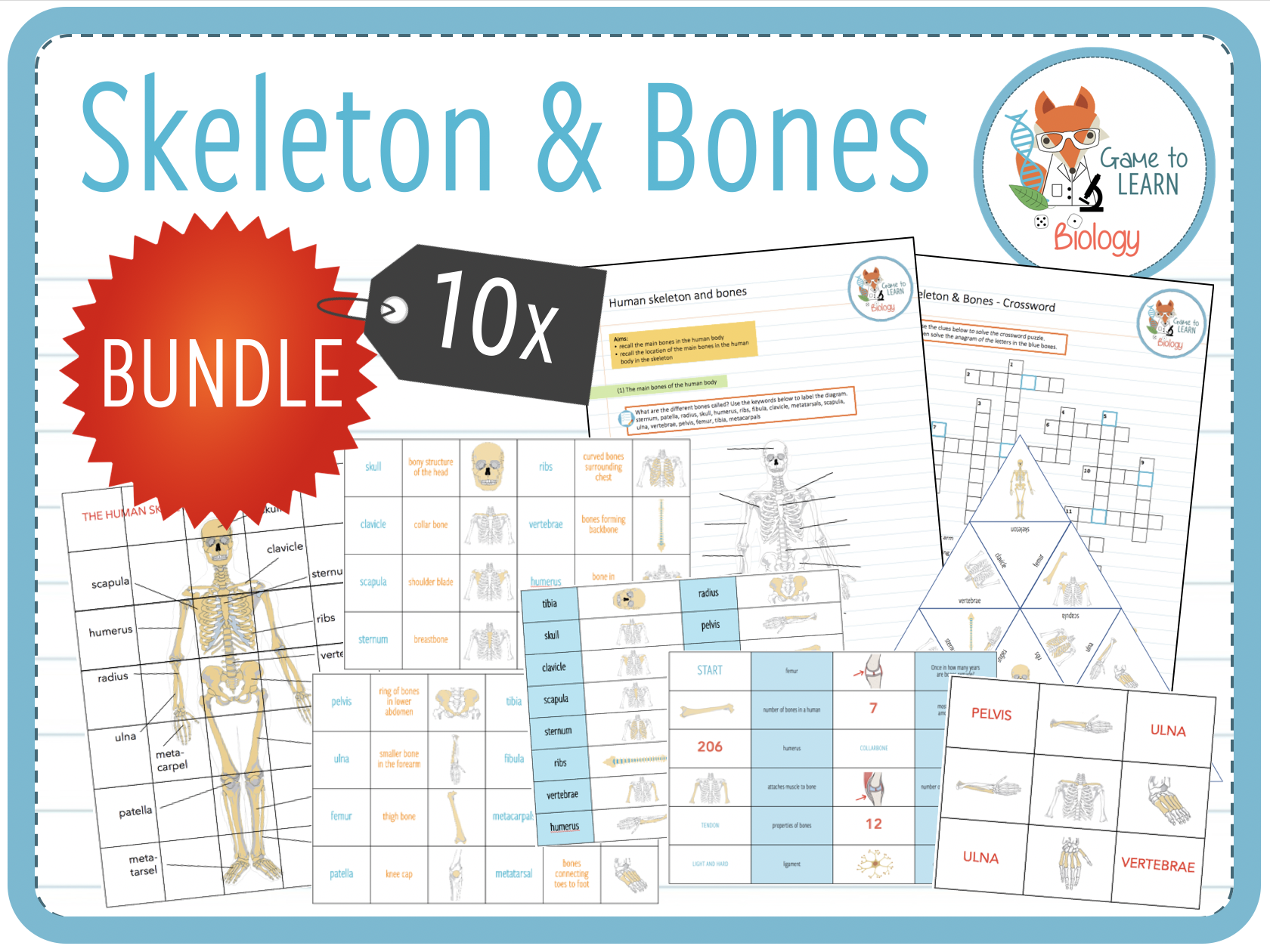 Skeleton and bones 10x Games and Activities (KS2/3) Teaching Resources