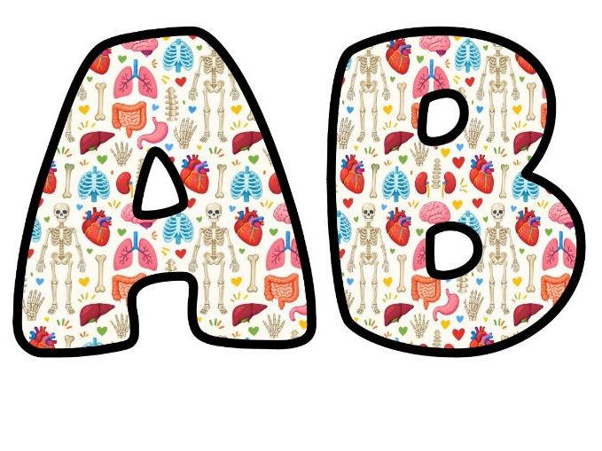Skeletons and Body Organs Bubble Letters | Science Topic Bulletin Board Letters