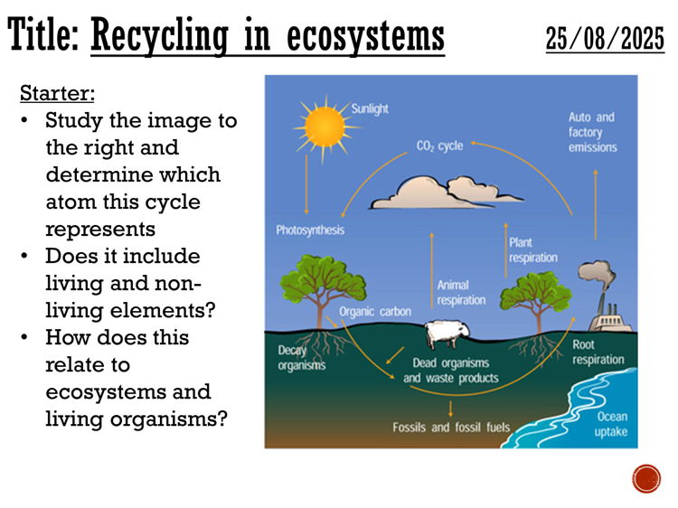 Recycling in ecosystems - complete lesson (A2)