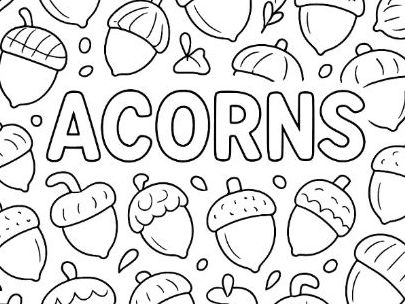 Acorns colouring and counting page