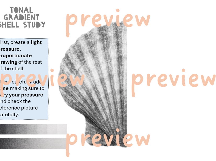 Sea Life - Tonal Gradient Shell Study (symmetrical image)