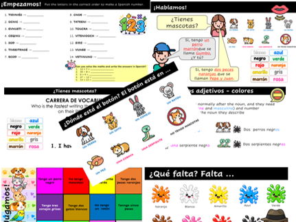 Viva 1 - Module 1 - ¿Tienes mascotas?