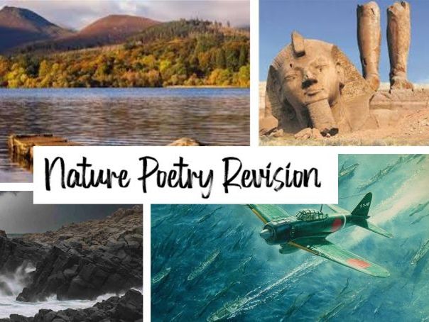 Power and Conflict - nature revision