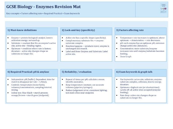 GCSE Biology – Enzymes Revision Mat