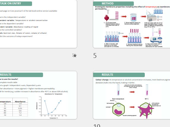 Core Practical 3 Investigate membrane properties including the effect of alcohol and temperature