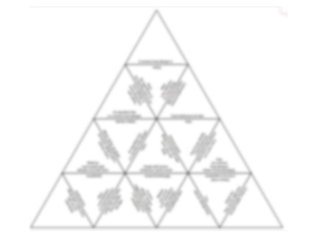 Food Allergen and intolerance Tarsia puzzle