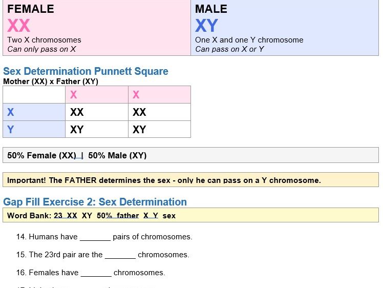 CB3 Genetics GCSE Lesson Booklets