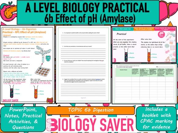A Level Bio Practical RP1 - 6b Effect of pH (Amylase)