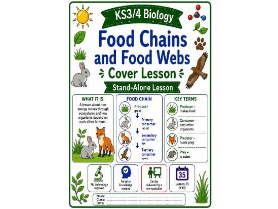 Food chains and webs cover lesson Biology (L35)