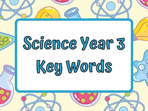 Year 3 Science Vocabulary Wordsearch Pack