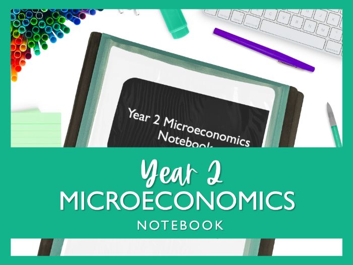 Year 2 Microeconomics Notebook