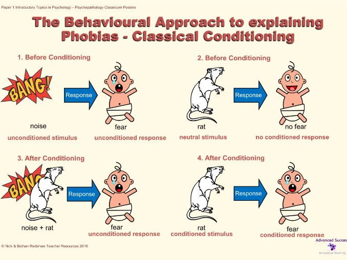 Nick Bethan Redshaw s A Level Psychology Resources Teaching