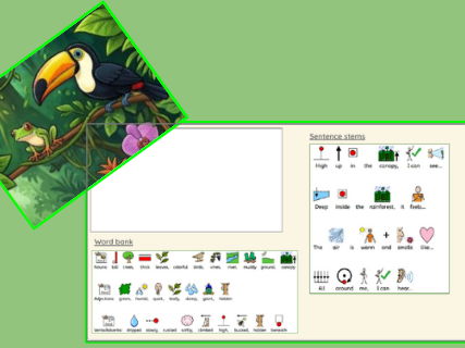 Rainforest Setting Description- SEND worksheet