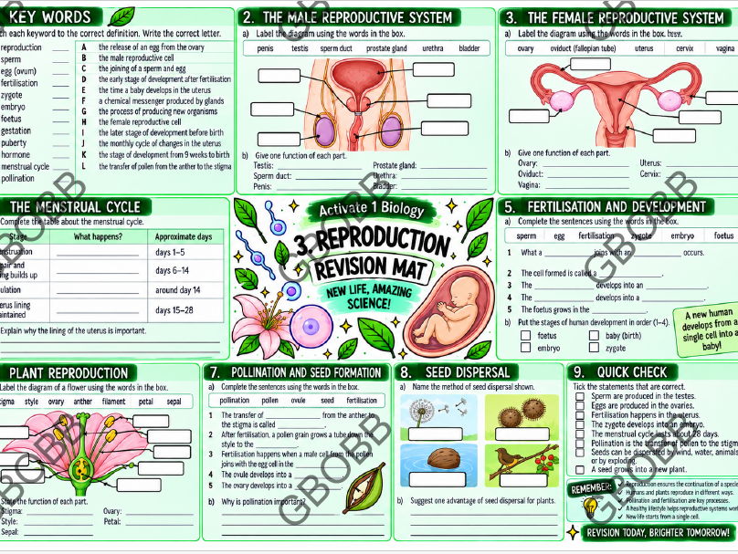 KS3 Activate 1 Reproduction Revision Mat